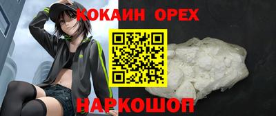 гидра Гусев