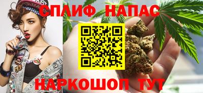 сатива Вязьма