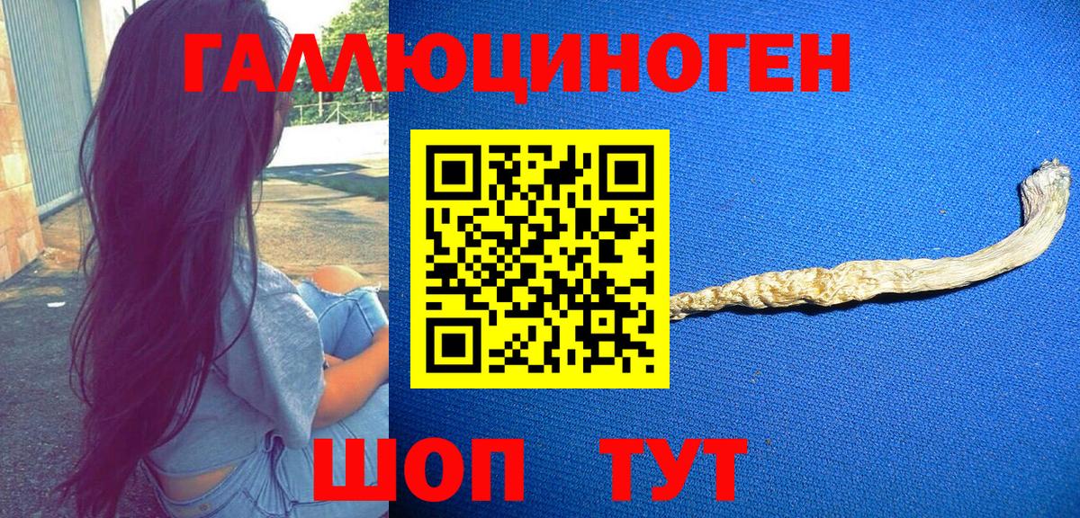 Псилоцибиновые грибы мицелий Минеральные Воды